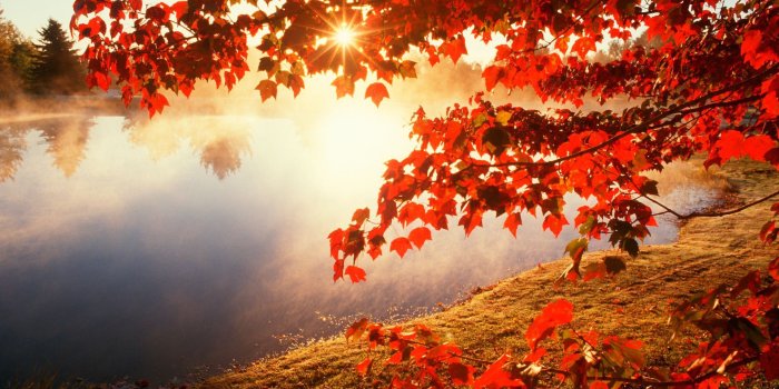 1920x1080 Fall Desktop Wallpapers Widescreen On Wallpaper 1080p HD | sarabindu