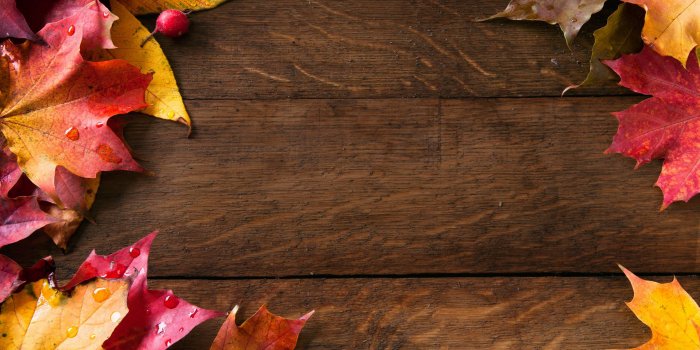 2560x1600 fall wallpaper