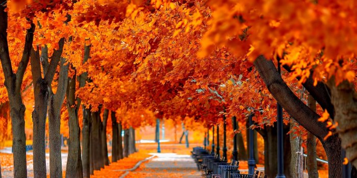 2400x1350 Fall Wallpaper 5 - 2400 X 1350