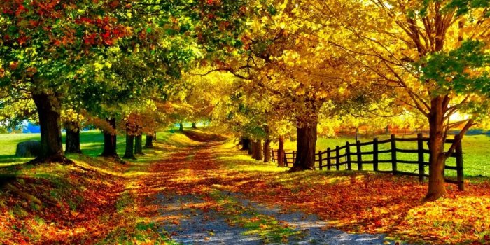 1024x768 Fall Wallpaper - Beautiful Fall (#378043) - HD Wallpaper Download