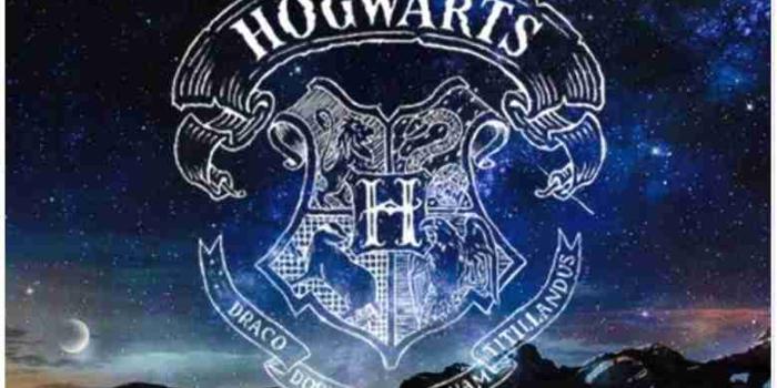 778x1291 Best 15 harry potter wallpapers - Wallpapers Wise