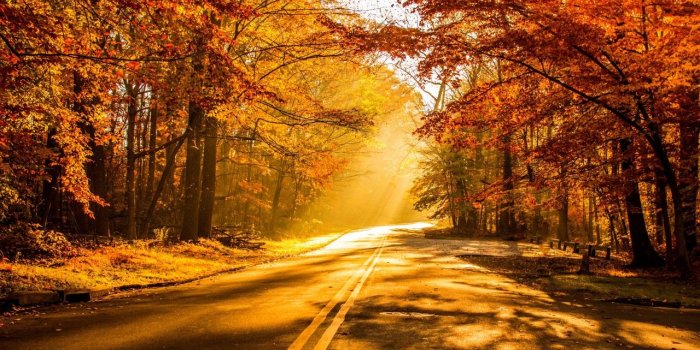 1280x720 Wallpaper Fall Foliage, Autumn, HD, 4K, Nature, #3012