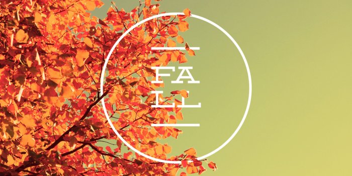 2048x1365 Free Fall Wallpaper | Roux