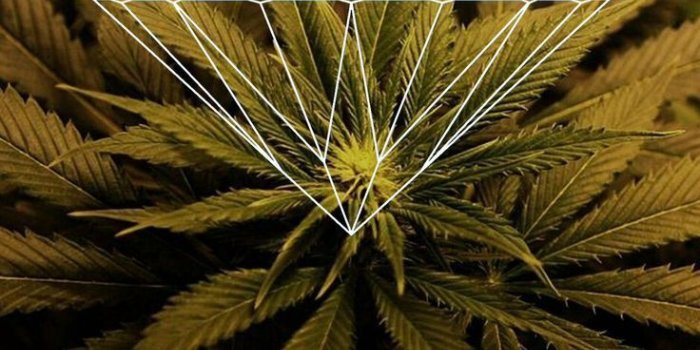 736x1247 Iphone Wallpaper Diamond Supply (#472552) - HD Wallpaper Download