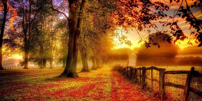 1920x1080 71+ Desktop Fall Wallpapers on WallpaperPlay