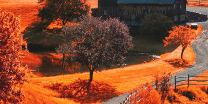 934x2048 iPhone X Autumn Wallpapers HD