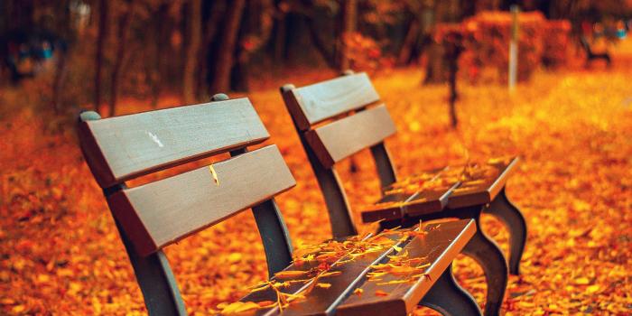 2524x2524 Colorful Fall wallpapers of the week