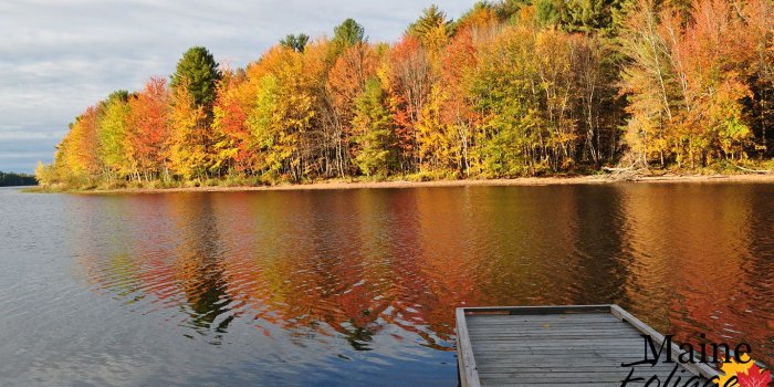 1366x768 MaineFoliage.com: Photo Gallery: Foliage Wallpaper