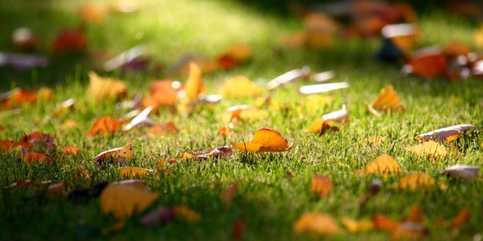 1600x900 early fall wallpaper Gallery (49+ images)