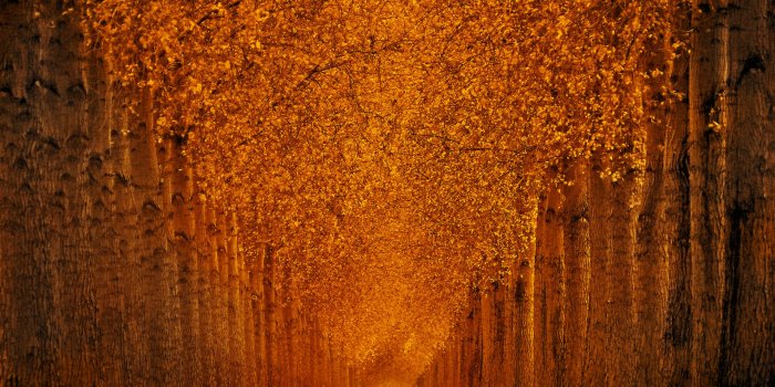 3840x2400 25+ Fall Wallpapers, Backgrounds, Images, Pictures | Design Trends