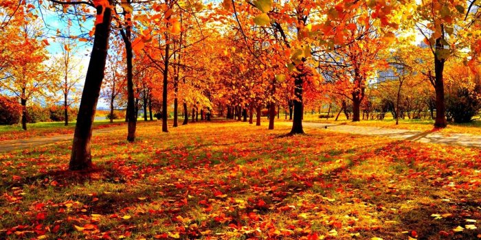 1920x1080 3d-fall-wallpaper-1920×1080-photos | Style24x7