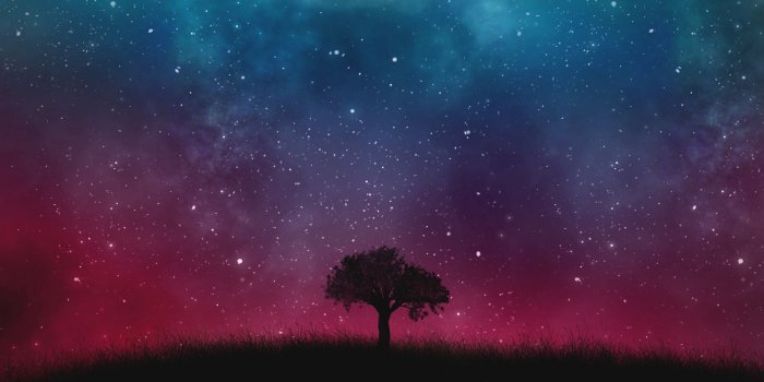 1920x1080 A Tree and the Universe widescreen wallpaper