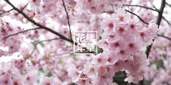 1200x798 cata on Twitter: 