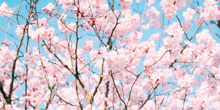 1000x1500 Phone Wallpapers | 100+ best free iphone wallpaper, light, dark and