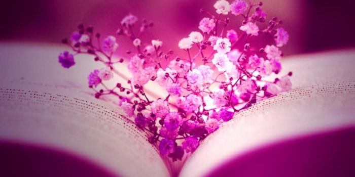 1366x768 Photography Pink Love | Free Download HD Graceful Pink Flower Love