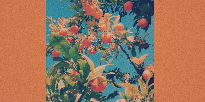 2896x2896 ◁@naturalhearts▷ | ⚫details photography | aesthetic | palette