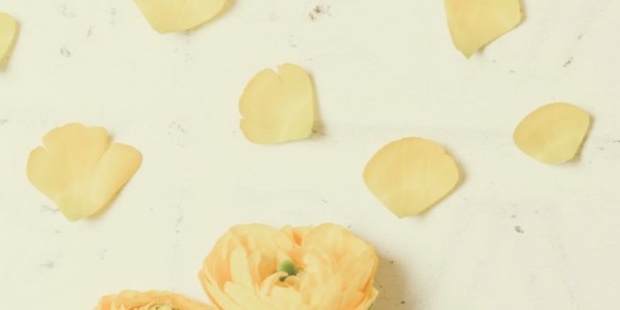 1080x1920 Aesthetic Wallpaper Art Hoe – Free Download Wallpaper