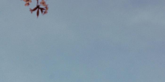 1488x2240 ˏˋ insta & pinterest: keelybxo ˊˎ˗ | Potrait | Aesthetic pictures