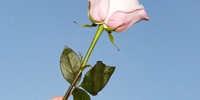 736x1104 Balm Dotcom | Wallpapers | Aesthetic wallpapers, Art hoe aesthetic