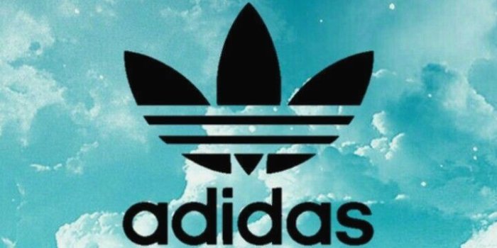 720x1282 10 Wallpaper Hd Adidas Green - Download Wallpaper HD For PC Computer