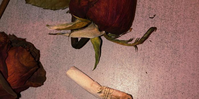 2716x3240 dead roses and cigarette buds. what do they mean to you? | she