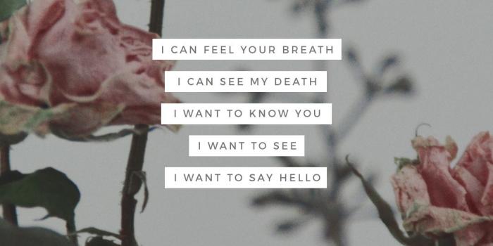 1080x1920 kaespo — lockscreens no. 232 - twenty one pilots lyrics to...