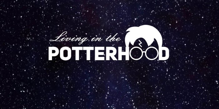 1500x3000 Best Hand-Picked HARRY POTTER Wallpapers | Harry Potter Wallpapers