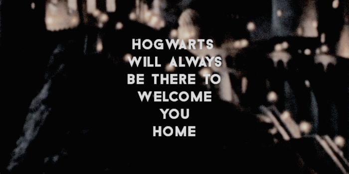 720x1279 Group of Funny Harry Potter Hipster Wallpapers