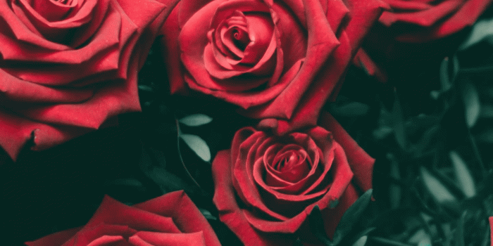 1440x2880 Red Aesthetics Phones Wallpapers - Top Free Red Aesthetics Phones