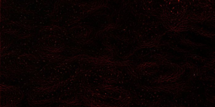 2560x1440 Black backgrounds - Barbaras HD Wallpapers