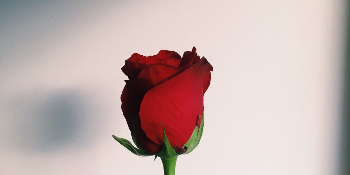 2448x3264 Want more pins like this? Follow @amaranthingly for more