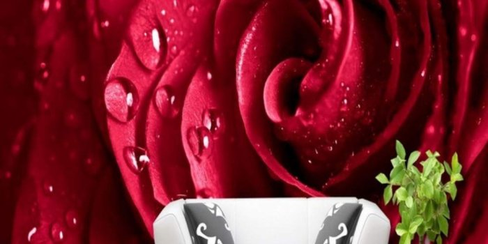 1000x1000 Amazon.com: xbwy Custom 3D Wallpaper Red Rose Water Drops Floral