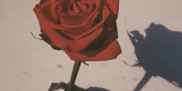 720x1280 Image about aesthetic in wallpapers by öznur erden