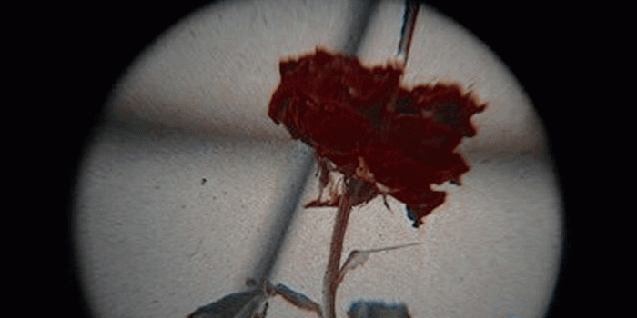 750x1334 ✧ — like if saving bbys