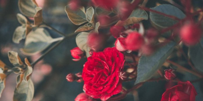 1000x1500 Hey, buy me a Coffee :) Paypal | HD photo by Ricardo Resende