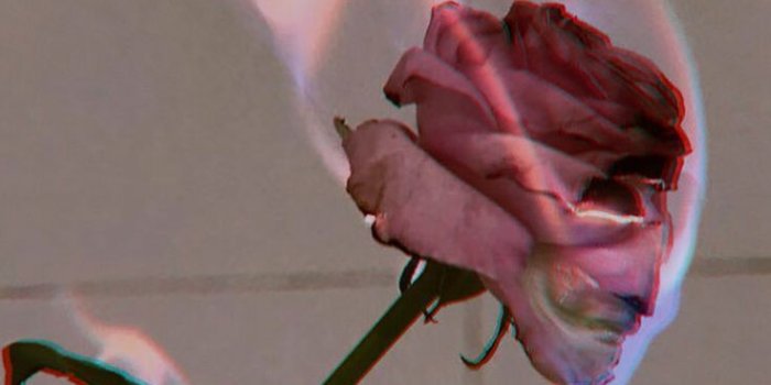 736x1308 76800454 I'm a product