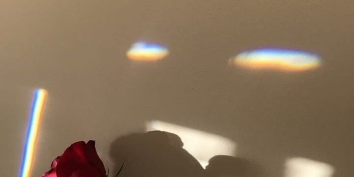 720x1280 Image about love in Roses|aesthetic by A f t e r a e s ♡