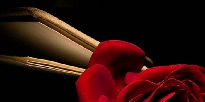 1080x1920 64+ Red Roses Wallpapers on WallpaperPlay