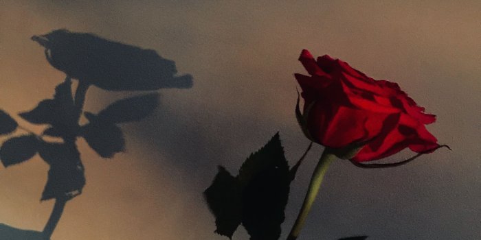 2448x3264 23052807 Mariana.✨ on Fondos de pantalla ✨ in 2019 | Red