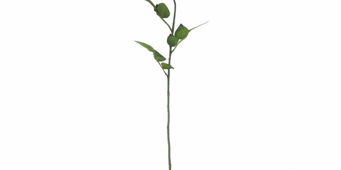 1200x1360 17 Drawn Red Rose aesthetic Free Clip Art stock illustrations