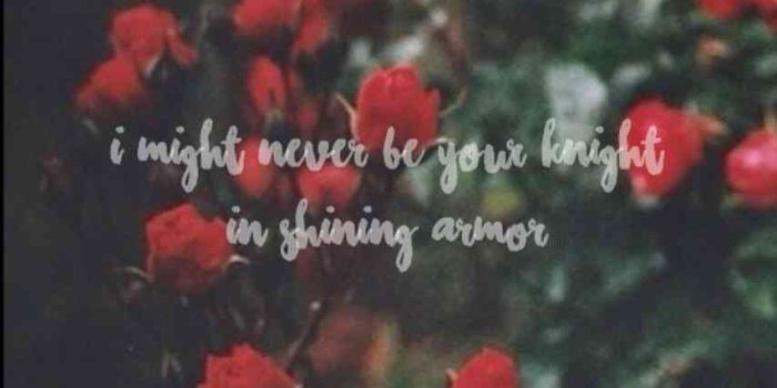 853x1517 Beautiful Aesthetic Black Rose Wallpaper Iphone - wallpaper