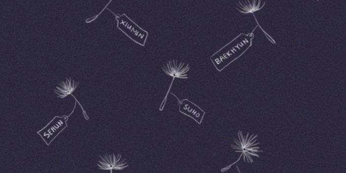 1152x2048 86+ Exo Logo Wallpapers on WallpaperPlay