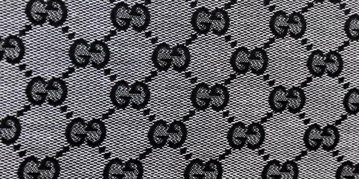 1920x1080 Images photos gucci wallpapers HD. | Icon Branding | Designer