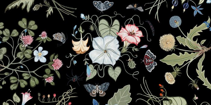 2048x1536 Gucci Wallpapers (82+ background pictures)