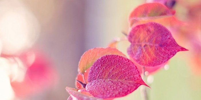 1080x1950 Wallpaper iPhone Cute Girly | iPhoneWallpapers | Best iphone