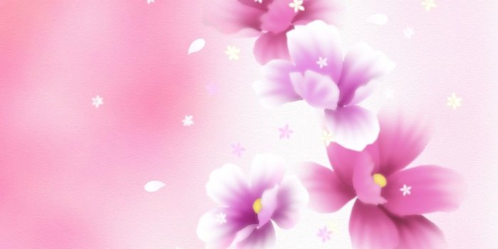 1080x1920 Girly Wallpapers for Cell Phones (71+ images)