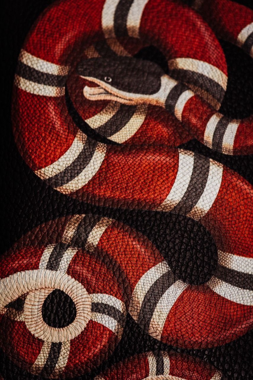 854x1280 Gucci Snake Wallpapers