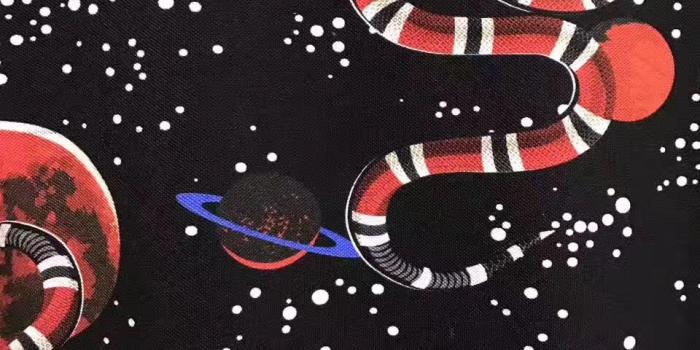 960x1280 96+] Gucci Snake Wallpaper on WallpaperSafari