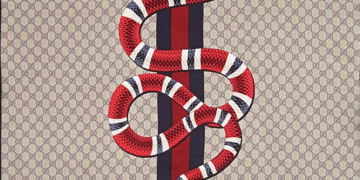 1787x1786 Apple Watch Face - Gucci. . | Photoshop | Gucci wallpaper iphone