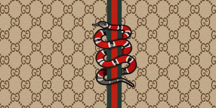 1123x711 Gucci Snake Wallpapers - Top Free Gucci Snake Backgrounds